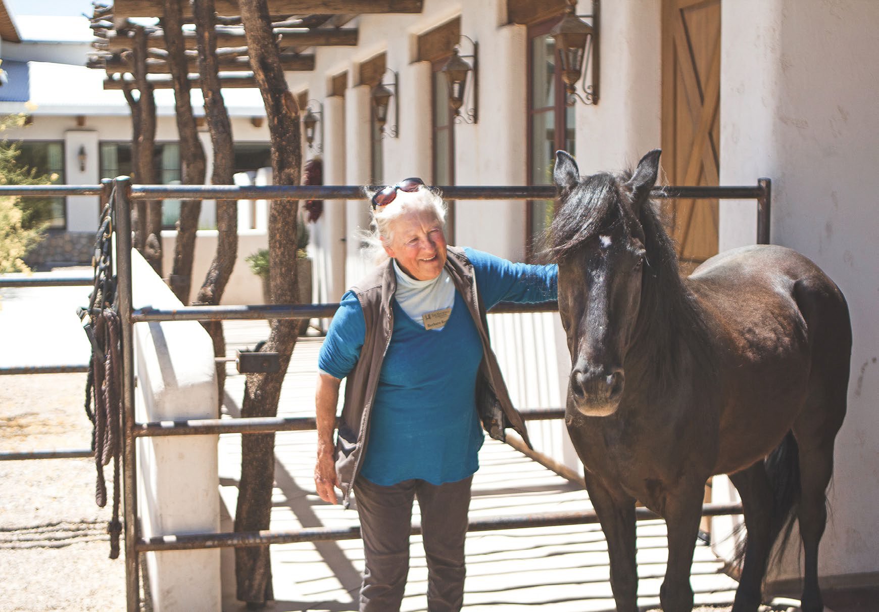 Senior Living Therapy with horse